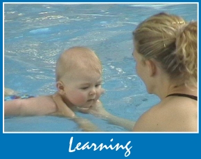 Silverstream Swim Academy - a great place to learn!